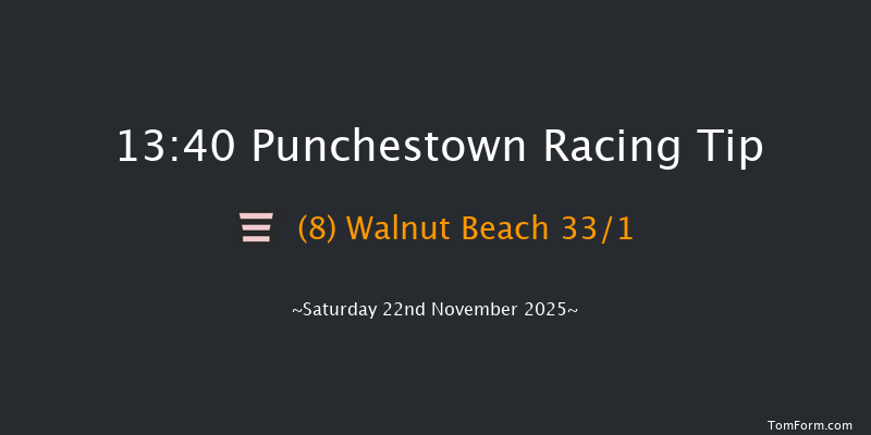 Punchestown 13-40 21f Thu 13th Nov 2025
