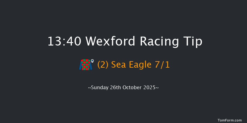 Wexford 13-40 16f Fri 29th Aug 2025