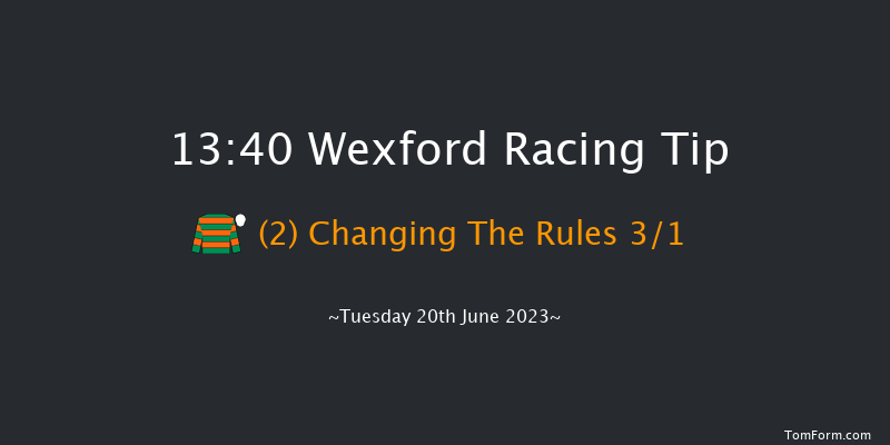 Wexford 13:40 Maiden Chase 20f Wed 31st May 2023
