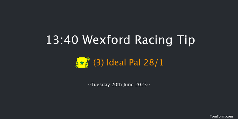 Wexford 13:40 Maiden Chase 20f Wed 31st May 2023