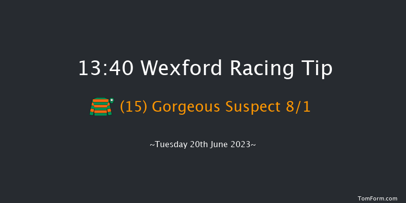 Wexford 13:40 Maiden Chase 20f Wed 31st May 2023