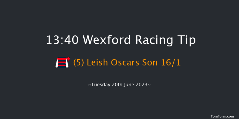Wexford 13:40 Maiden Chase 20f Wed 31st May 2023