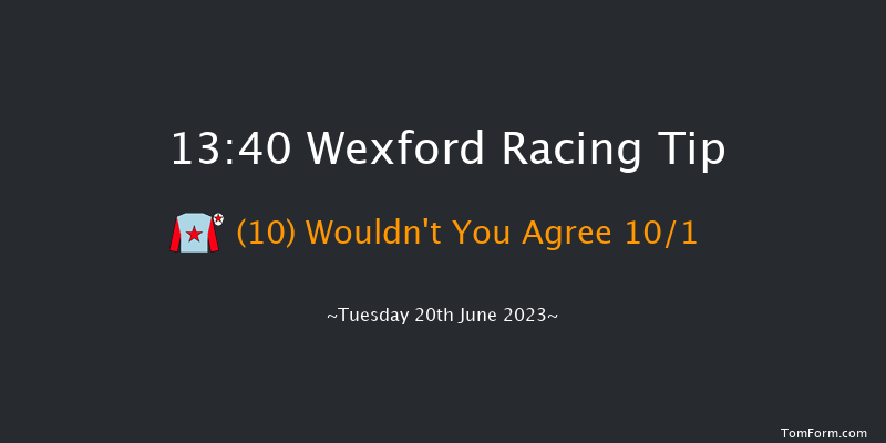 Wexford 13:40 Maiden Chase 20f Wed 31st May 2023