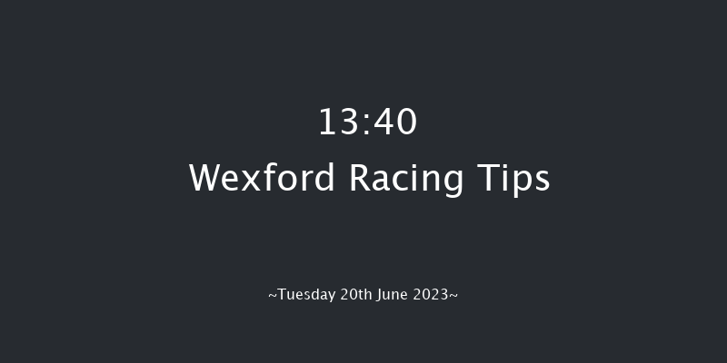 Wexford 13:40 Maiden Chase 20f Wed 31st May 2023