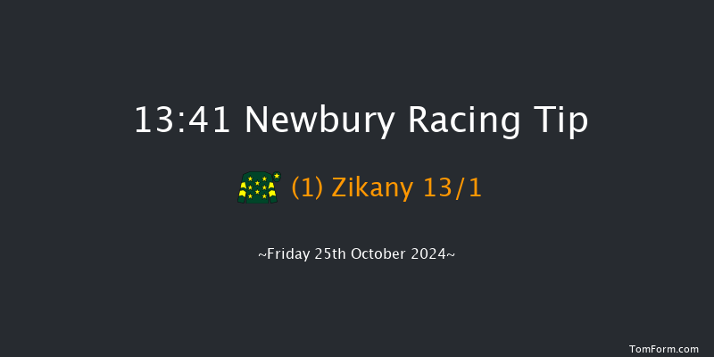 Newbury  13:41 Handicap (Class 5) 16f Sat 21st Sep 2024