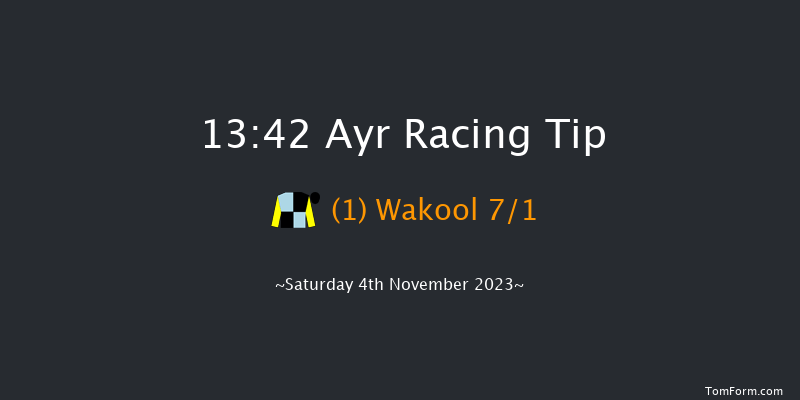 Ayr 13:42 Handicap Hurdle (Class 3) 24f Thu 12th Oct 2023