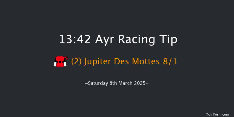 Ayr  13:42 Novices Hurdle (Class 4) 20f Fri 7th Mar 2025