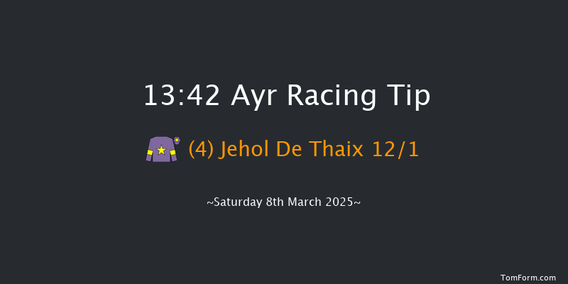 Ayr  13:42 Novices Hurdle (Class 4) 20f Fri 7th Mar 2025