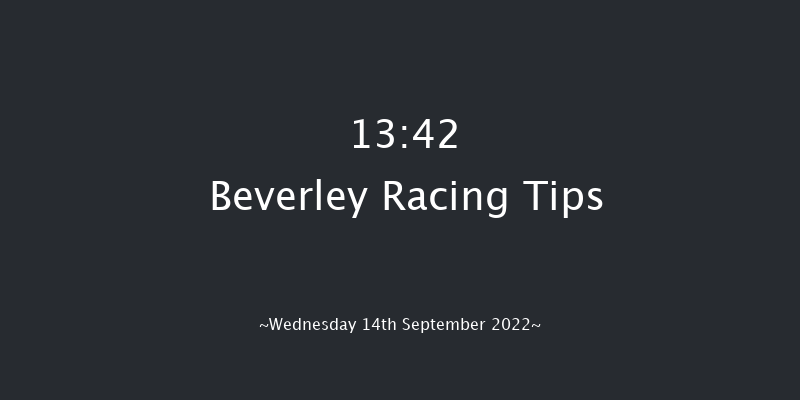 Beverley 13:42 Stakes (Class 6) 8f Sun 28th Aug 2022