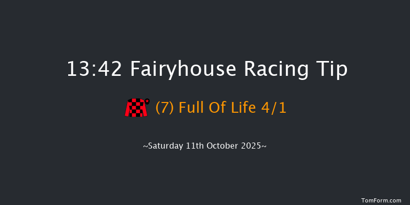 Fairyhouse 13-42 16f Mon 22nd Sep 2025