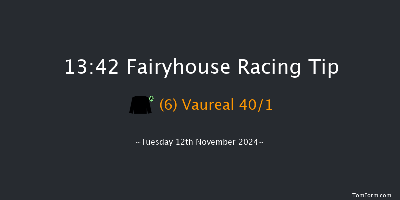Fairyhouse  13:42 Maiden Chase 20f Tue 5th Nov 2024