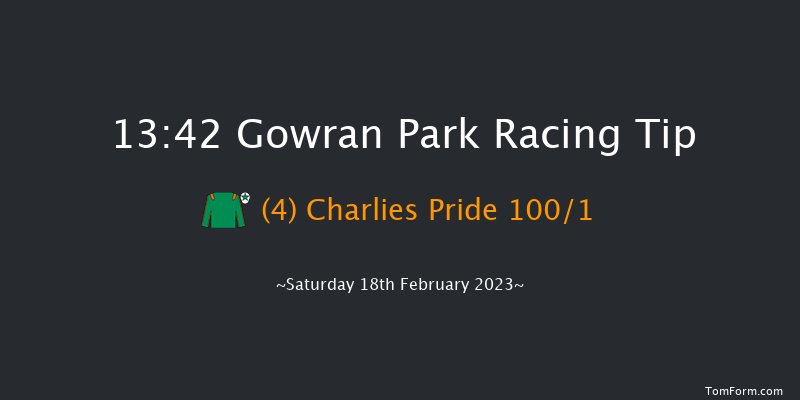 Gowran Park 13:42 Maiden Hurdle 16f Thu 26th Jan 2023