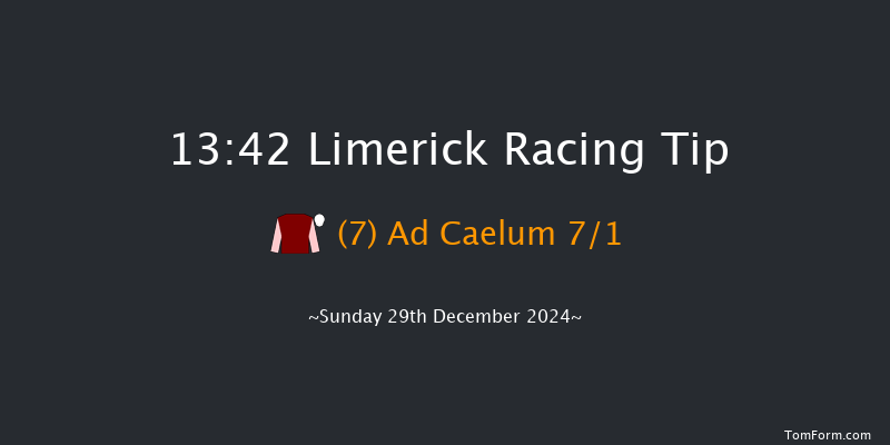 Limerick  13:42 Maiden Hurdle 19f Sat 28th Dec 2024
