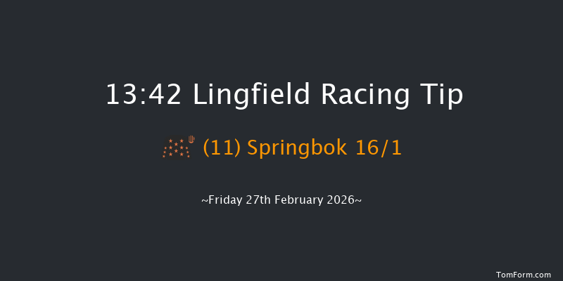 Lingfield 13-42 (Class 6) 10f Wed 25th Feb 2026