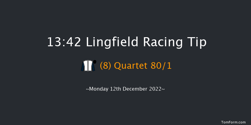 Lingfield 13:42 Handicap (Class 6) 8f Wed 7th Dec 2022