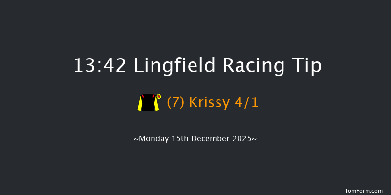 Lingfield 13-42 (Class 6) 10f Sat 13th Dec 2025