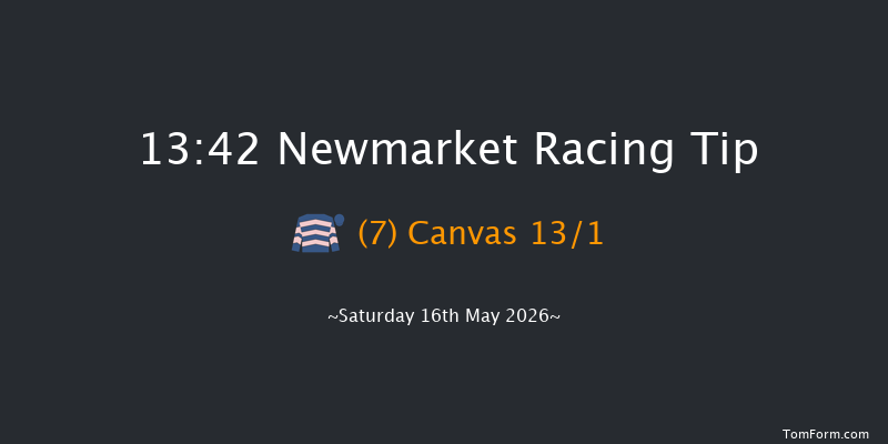 Newmarket 13-42 (Class 4) 8f Fri 15th May 2026