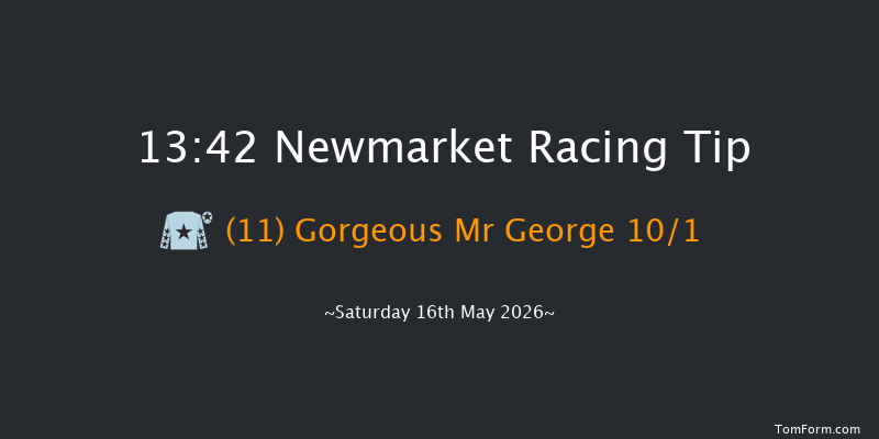 Newmarket 13-42 (Class 4) 8f Fri 15th May 2026