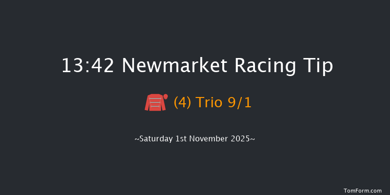 Newmarket 13-42 (Class 4) 9f Fri 31st Oct 2025