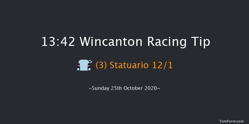 Racing Welfare - Supporting Racing's Workforce Novices' Handicap Chase (GBB Race) Wincanton 13:42 Handicap Chase (Class 4) 20f Thu 15th Oct 2020