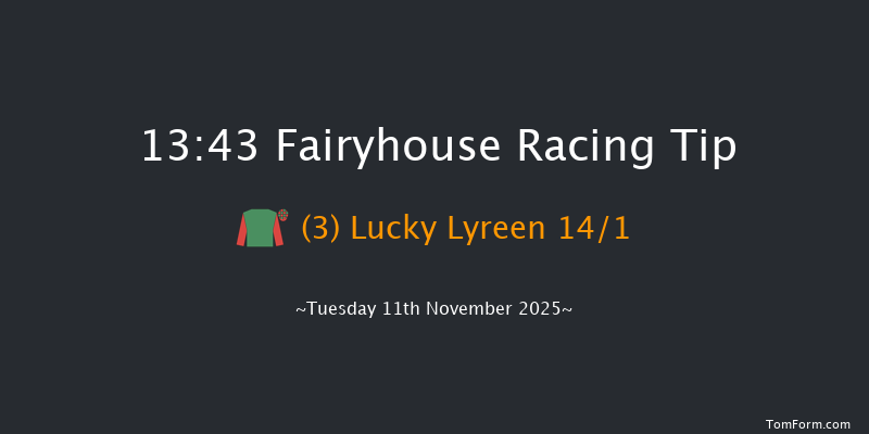 Fairyhouse 13-43 20f Tue 4th Nov 2025