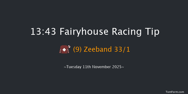 Fairyhouse 13-43 20f Tue 4th Nov 2025