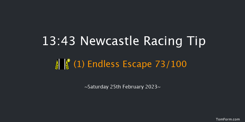Newcastle 13:43 Maiden Hurdle (Class 3) 20f Thu 23rd Feb 2023
