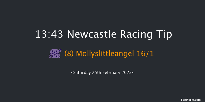 Newcastle 13:43 Maiden Hurdle (Class 3) 20f Thu 23rd Feb 2023