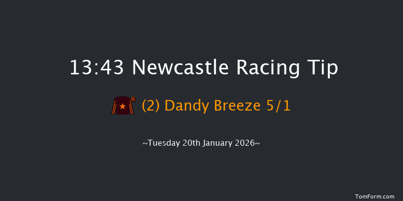 Newcastle 13-43 (Class 4) 5f Fri 16th Jan 2026