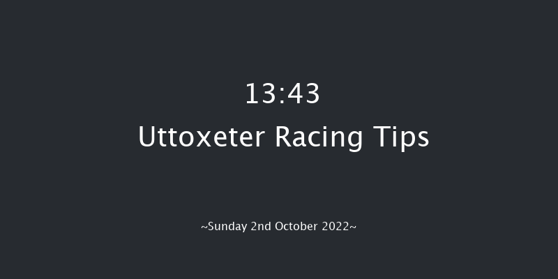 Uttoxeter 13:43 Maiden Hurdle (Class 4) 20f Tue 13th Sep 2022