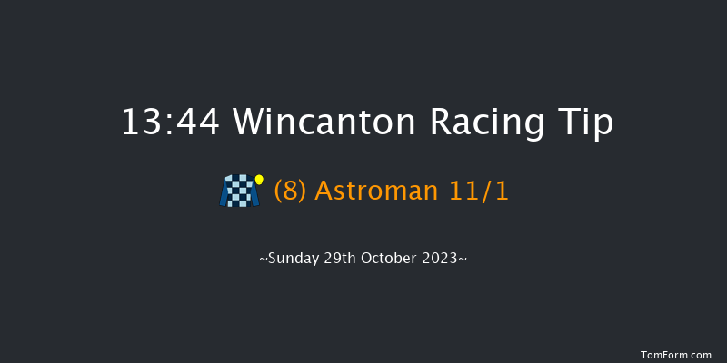 Wincanton 13:44 Handicap Chase (Class 5) 20f Thu 19th Oct 2023