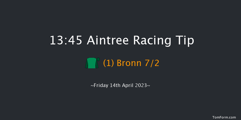Aintree 13:45 Novices Chase (Class 1) 25f Thu 13th Apr 2023