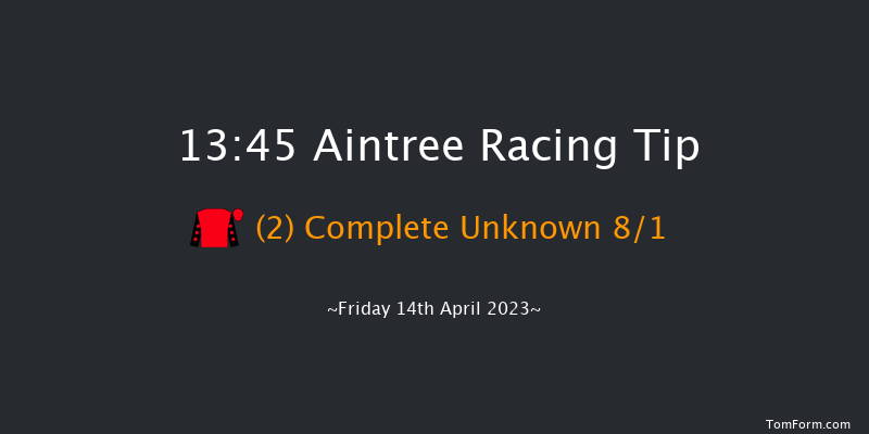 Aintree 13:45 Novices Chase (Class 1) 25f Thu 13th Apr 2023