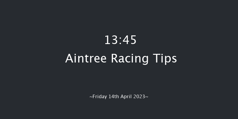 Aintree 13:45 Novices Chase (Class 1) 25f Thu 13th Apr 2023