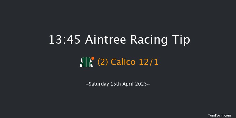 Aintree 13:45 Maiden Chase (Class 1) 
16f Fri 14th Apr 2023
