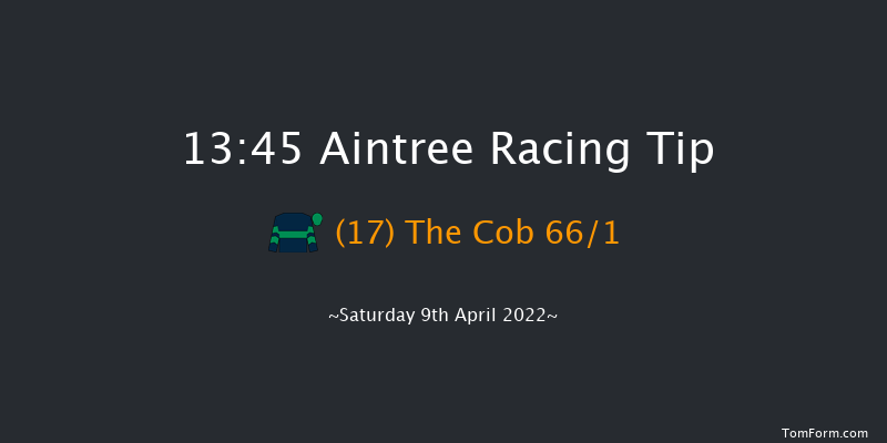 Aintree 13:45 Handicap Hurdle (Class 1) 25f Fri 8th Apr 2022