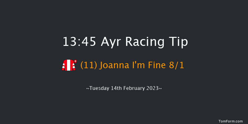 Ayr 13:45 Handicap Hurdle (Class 5) 20f Wed 1st Feb 2023