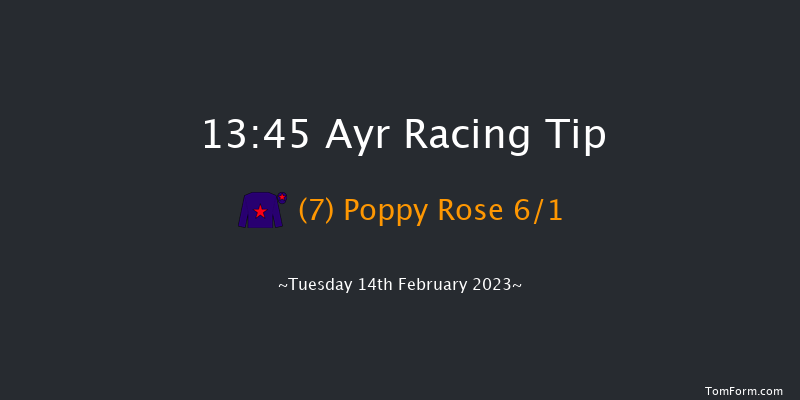 Ayr 13:45 Handicap Hurdle (Class 5) 20f Wed 1st Feb 2023