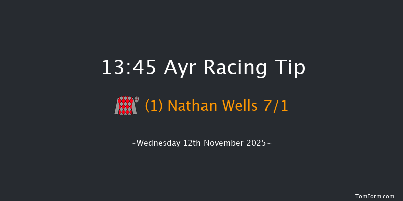 Ayr 13-45 (Class 5) 19f Sat 1st Nov 2025