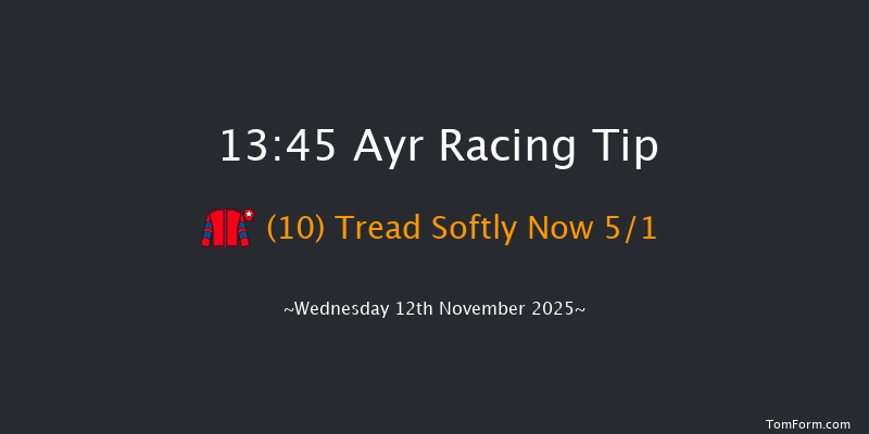 Ayr 13-45 (Class 5) 19f Sat 1st Nov 2025