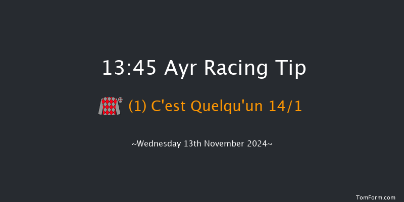 Ayr  13:45 Handicap Hurdle (Class 5) 20f Sat 2nd Nov 2024