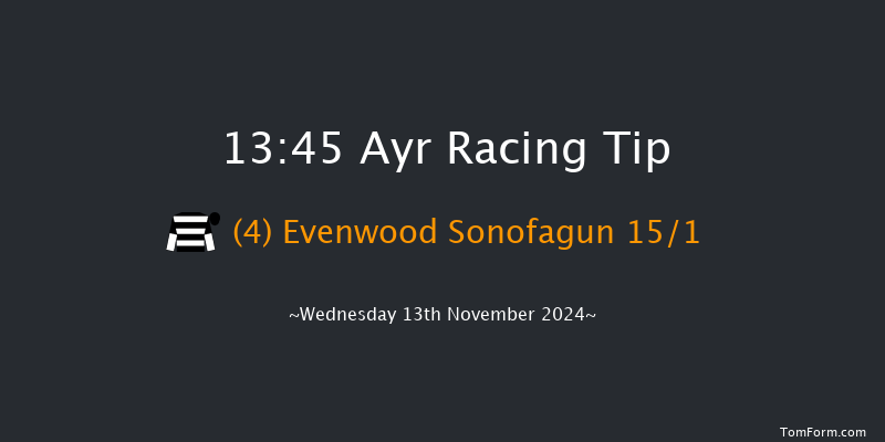 Ayr  13:45 Handicap Hurdle (Class 5) 20f Sat 2nd Nov 2024
