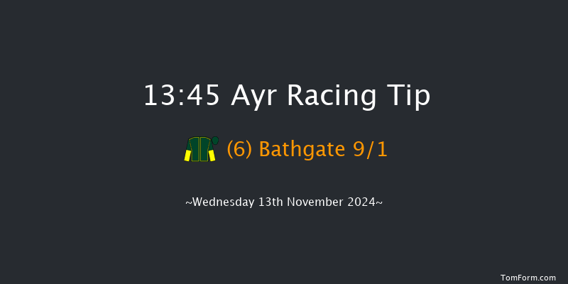 Ayr  13:45 Handicap Hurdle (Class 5) 20f Sat 2nd Nov 2024