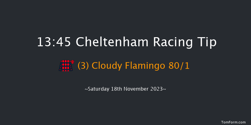 Cheltenham 13:45 Maiden Chase (Class 1) 24f Fri 17th Nov 2023