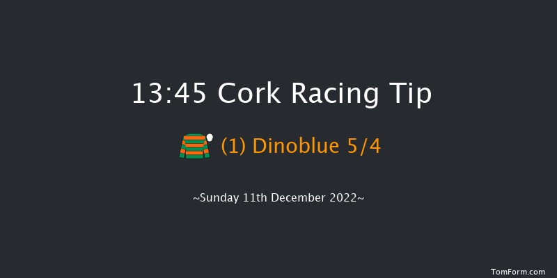 Cork 13:45 Novices Chase 17f Sun 20th Nov 2022