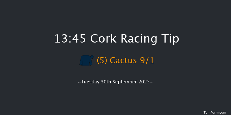 Cork 13-45 5f Wed 10th Sep 2025