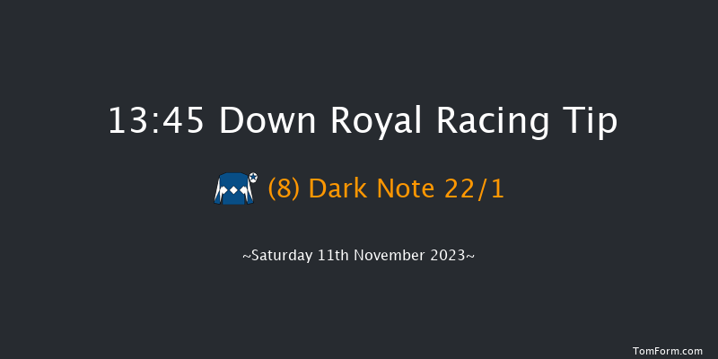 Down Royal 13:45 Handicap Hurdle 17f Fri 10th Nov 2023
