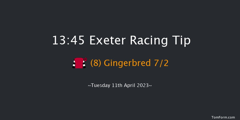 Exeter 13:45 Handicap Hurdle (Class 4) 22f Sun 26th Mar 2023