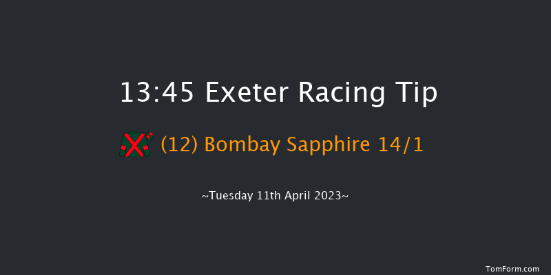 Exeter 13:45 Handicap Hurdle (Class 4) 22f Sun 26th Mar 2023