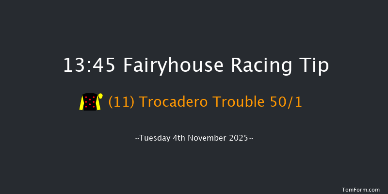 Fairyhouse 13-45 17f Sat 11th Oct 2025